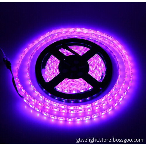 Remote Control LED Strip, Life Time More Than 50000 Hours